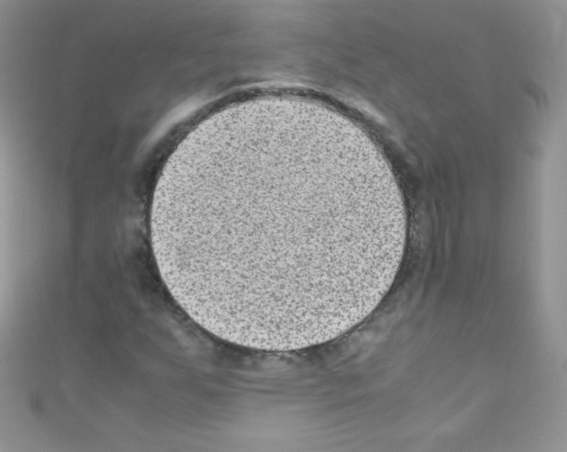 X0000110731255200907241220