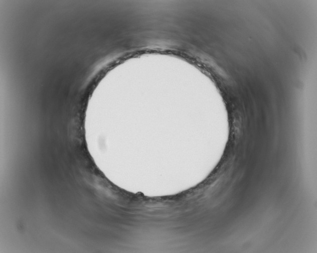 X0000110731256200907241220
