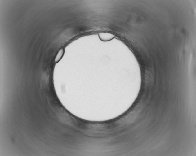 X0000110731257200907241220