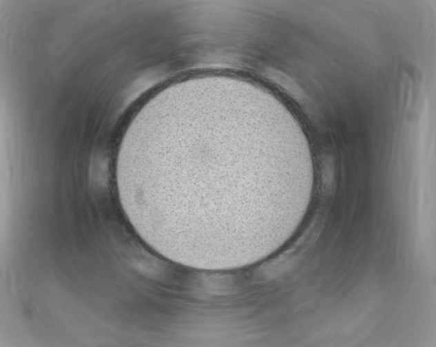 X0000110731258200907241220