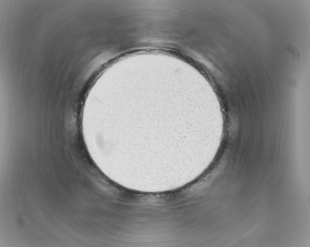 X0000110731259200907241220