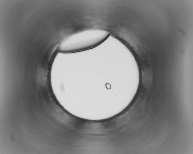 X0000110731260200907241220