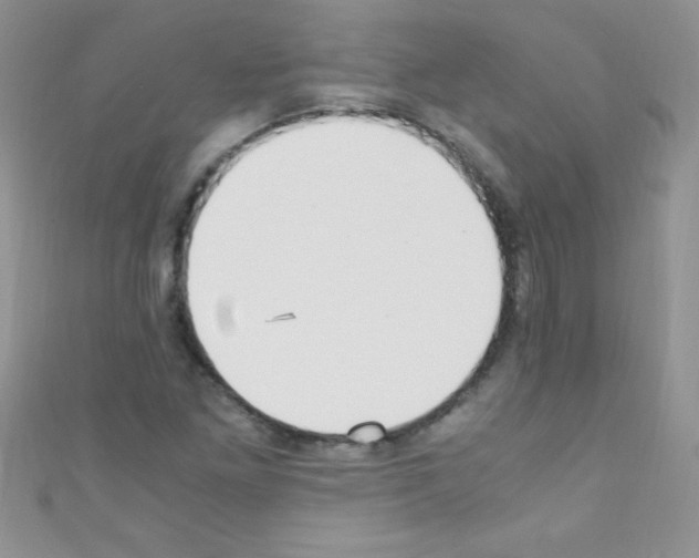 X0000110731261200907241220