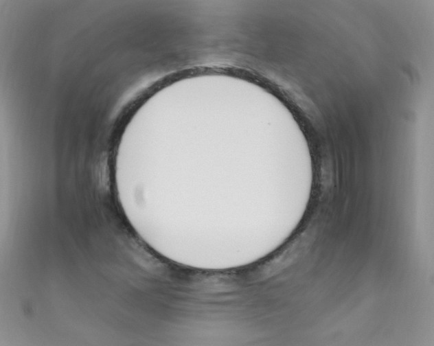 X0000110731262200907241220