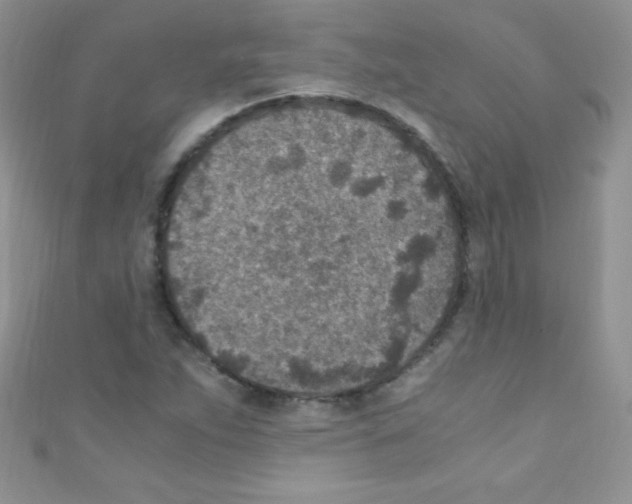 X0000110731263200907241220