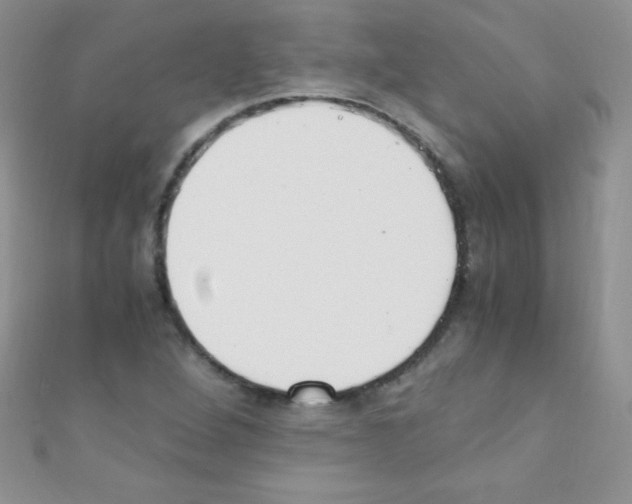 X0000110731264200907241220