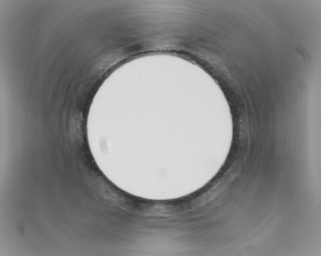 X0000110731265200907241220