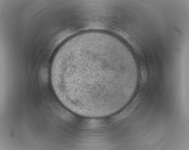 X0000110731266200907241220