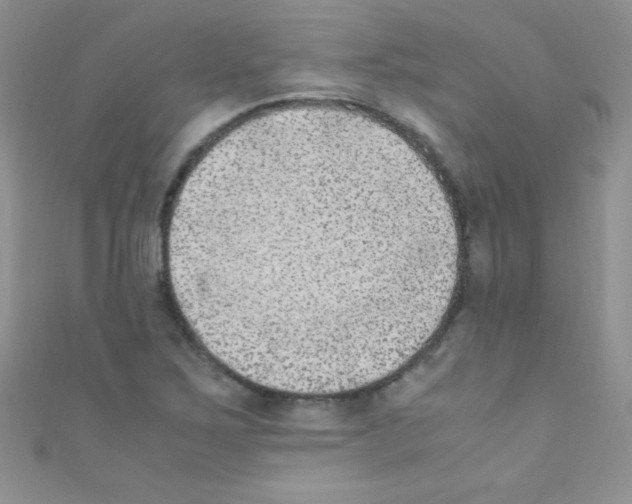 X0000110731267200907241220