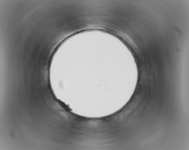 X0000110731268200907241220