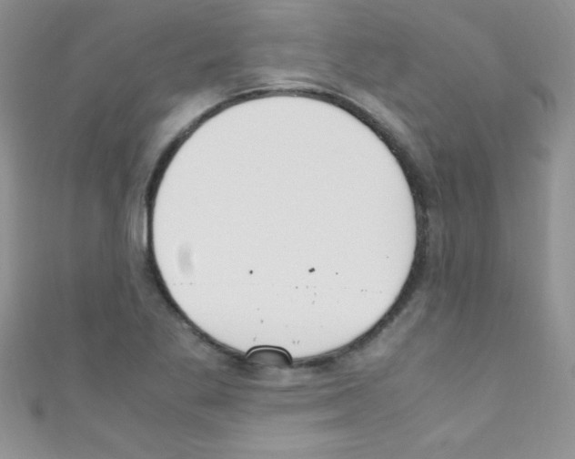X0000110731269200907241220
