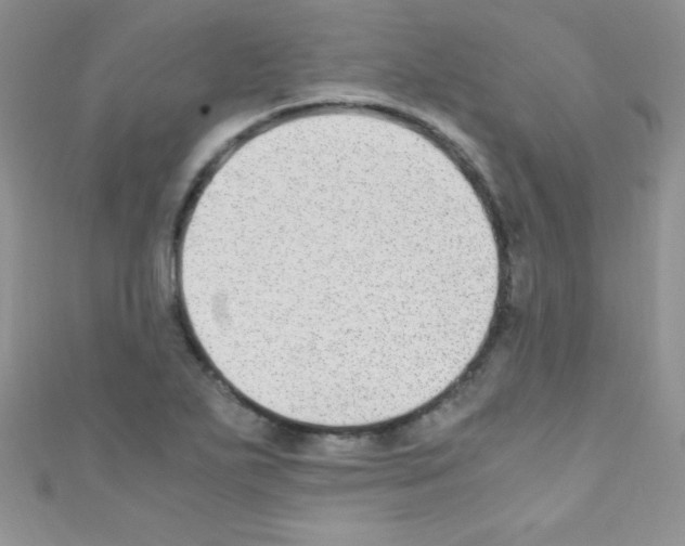 X0000110731271200907241220