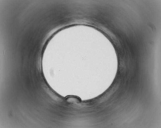 X0000110731272200907241220
