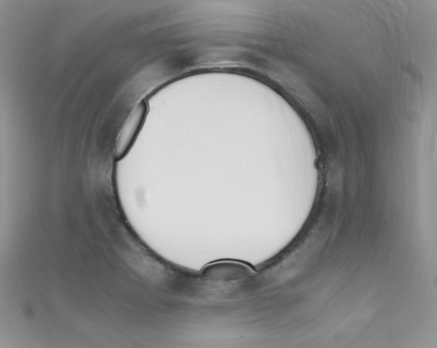 X0000110731273200907241220