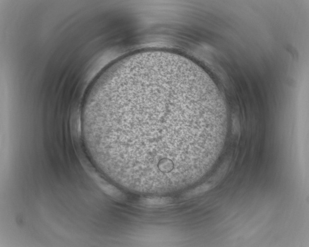 X0000110731274200907241220