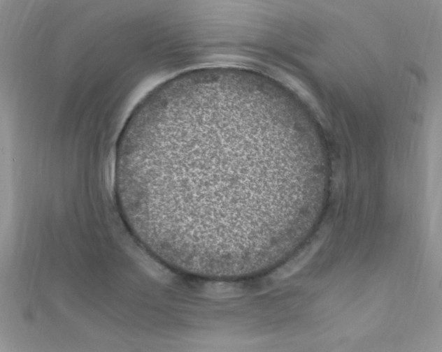 X0000110731275200907241220