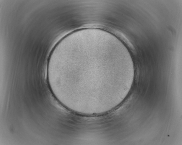 X0000110731276200907241220