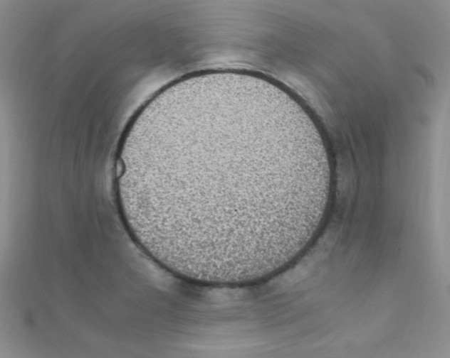 X0000110731277200907241220