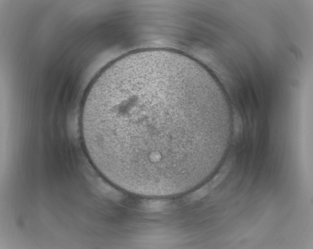 X0000110731278200907241220