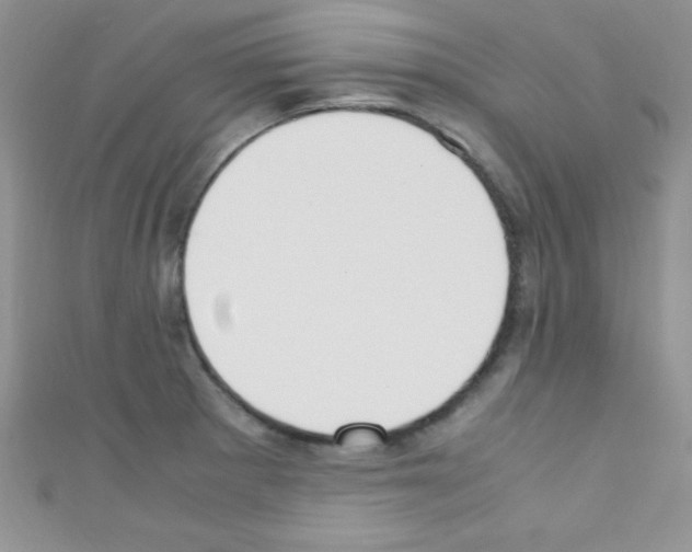 X0000110731281200907241220