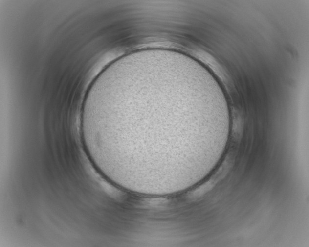 X0000110731282200907241220