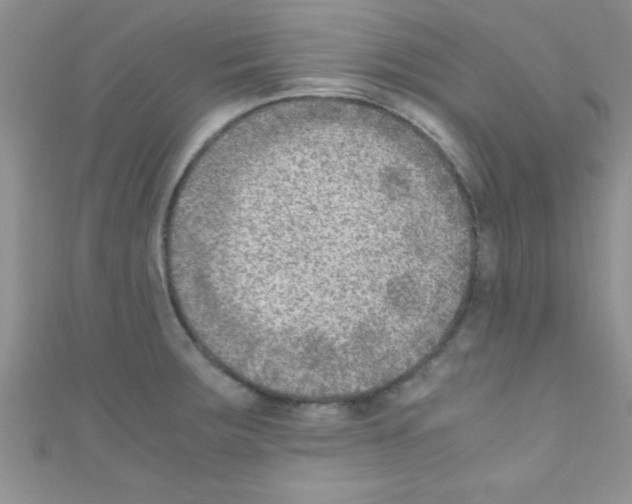 X0000110731283200907241220