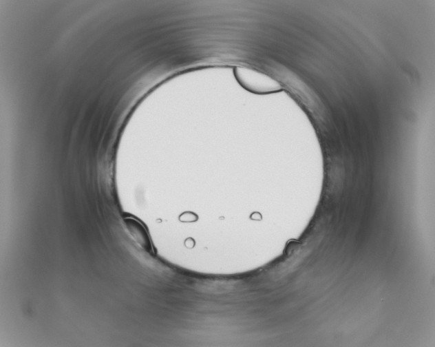 X0000110731284200907241220