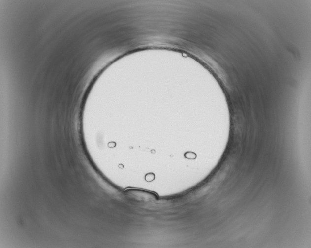 X0000110731285200907241220