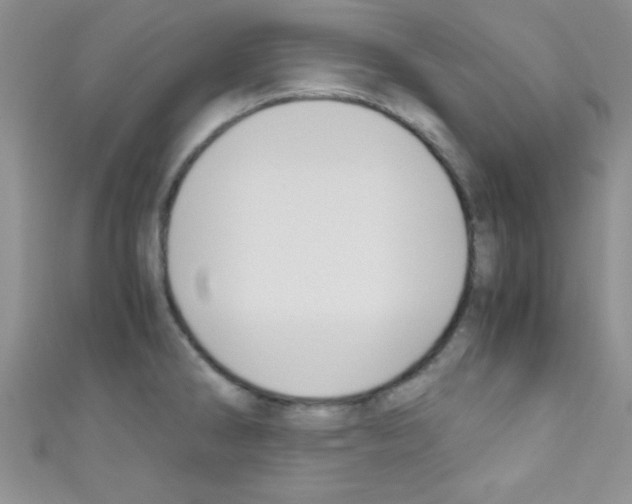 X0000110731286200907241220