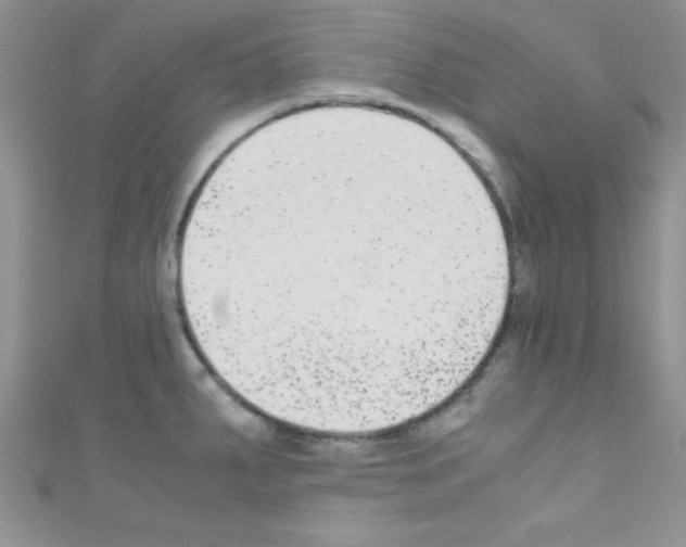 X0000110731287200907241220