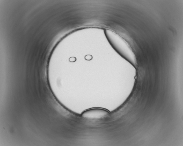 X0000110731288200907241220