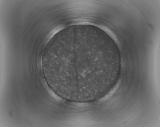 X0000110731289200907241220