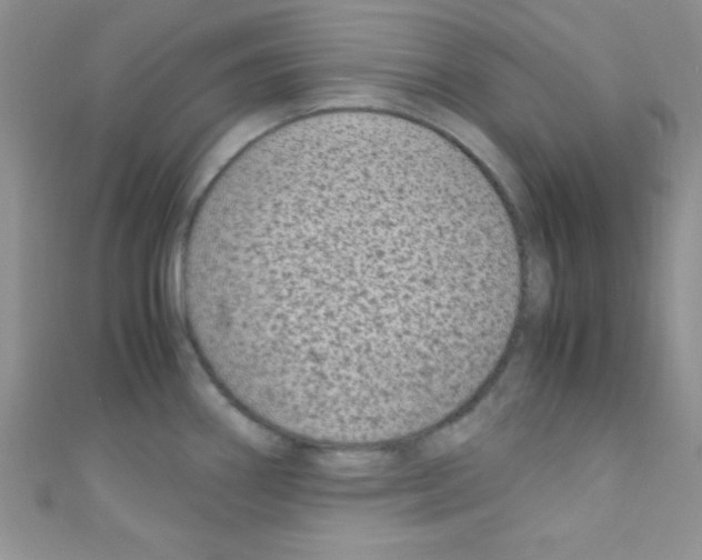 X0000110731290200907241220