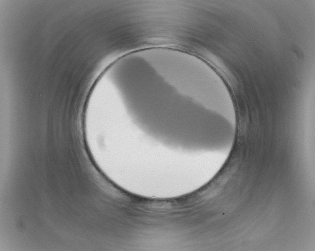 X0000110731291200907241220