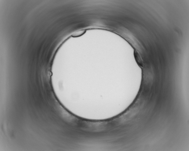 X0000110731292200907241220
