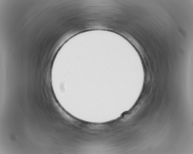 X0000110731293200907241220