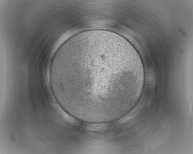 X0000110731294200907241220