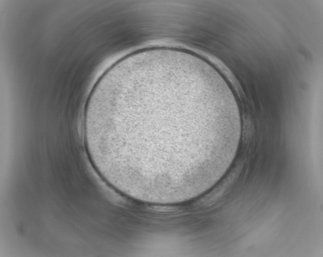 X0000110731295200907241220