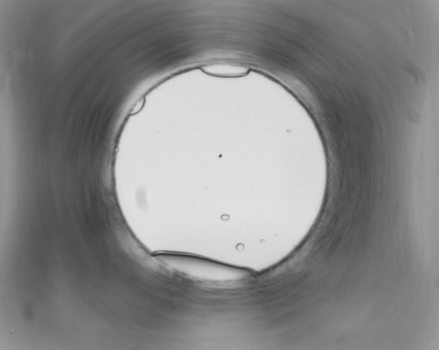 X0000110731296200907241220