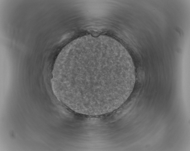 X0000110731297200907241219