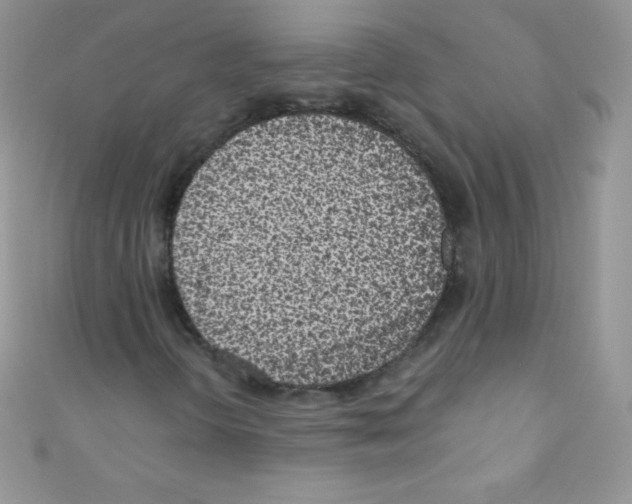 X0000110731298200907241219