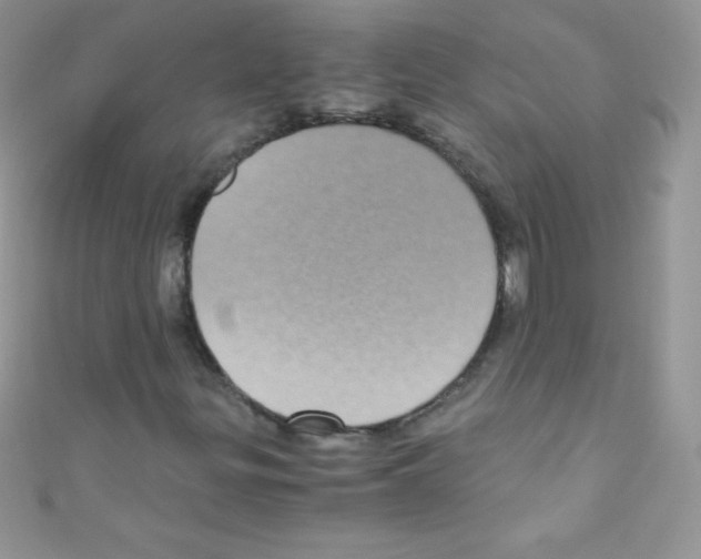 X0000110731299200907241219