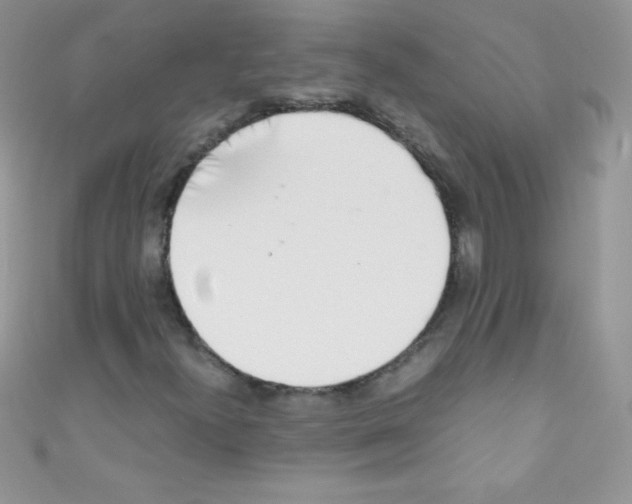 X0000110731300200907241219