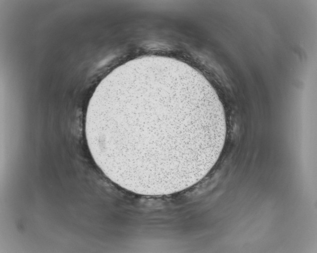 X0000110731301200907241219