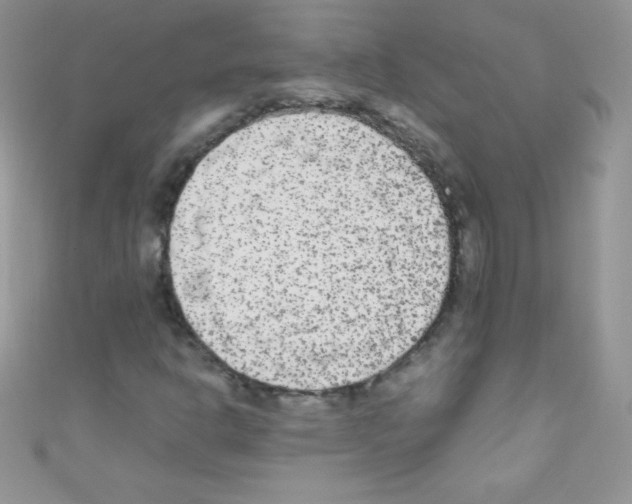 X0000110731302200907241219