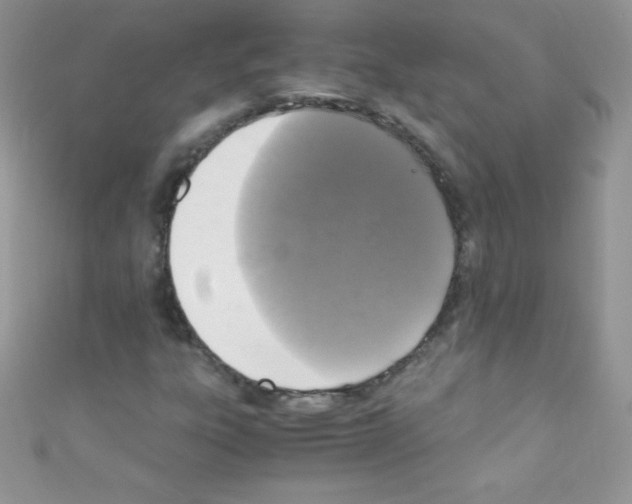 X0000110731303200907241219