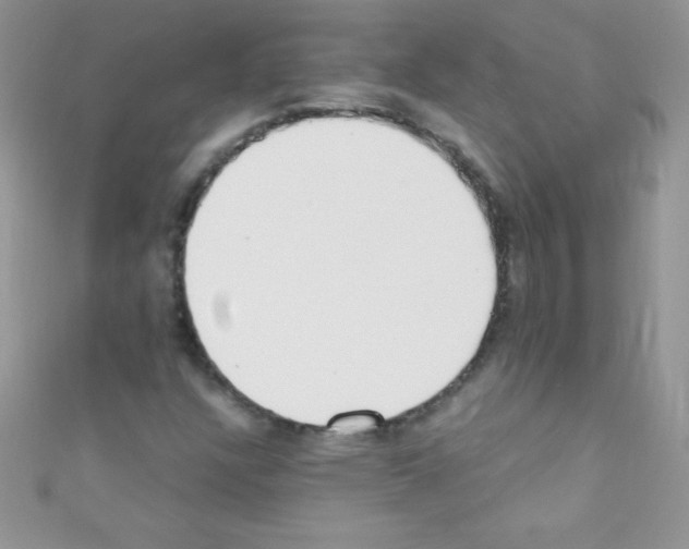X0000110731304200907241219