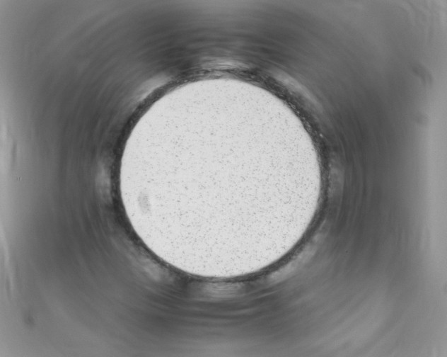 X0000110731305200907241219