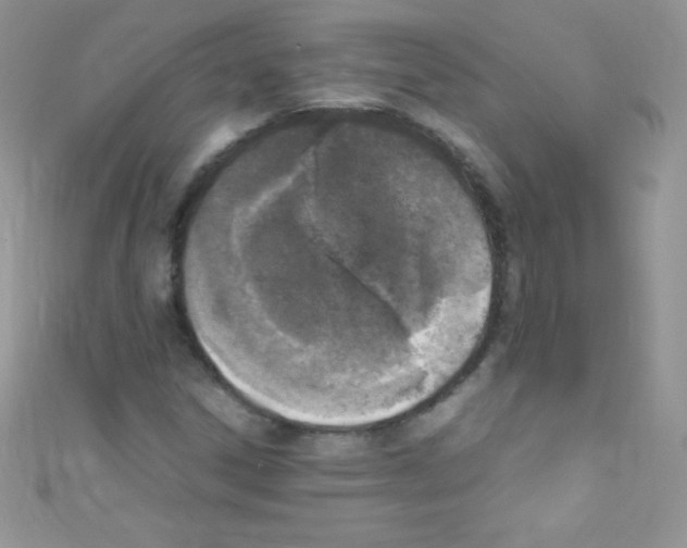 X0000110731306200907241219