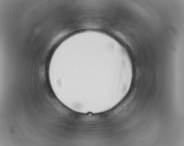 X0000110731307200907241219